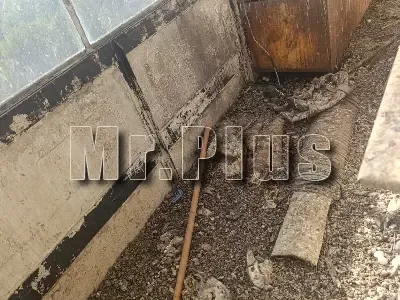 Почистване след гълъби и дезинфекция в Карлово