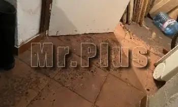 Почистване след наводнение и утайка в Карлово
