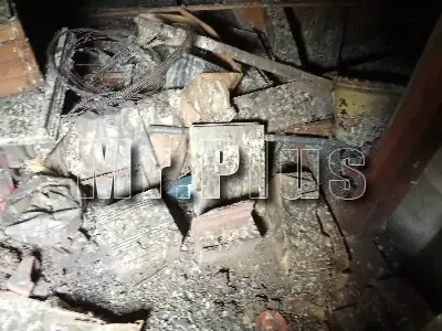 Почистване след гълъби и дезинфекция в Нова Загора