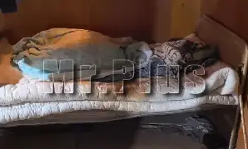 Почистване след убийство или самоубийство в Троян