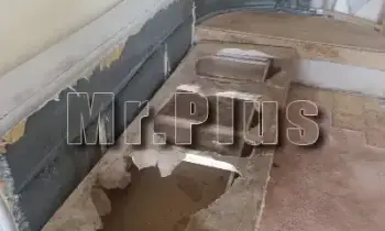 Почистване след котки и кучета в Пещера