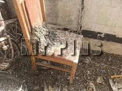 Почистване след гълъби и дезинфекция в Харманли