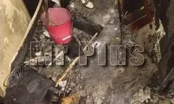 Почистване след плъхове и мишки в Харманли