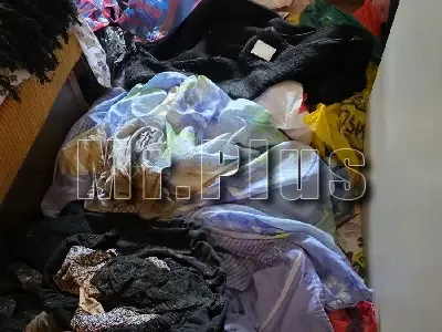 Изпразване на апартаменти с отпадъци в Плевен