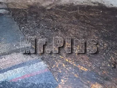 Почистване на мухъл и плесен в жилище в Шумен