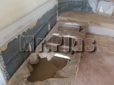 Почистване след котки и кучета в Перник