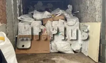 Почистване на дворове с извозване на клони в Хасково
