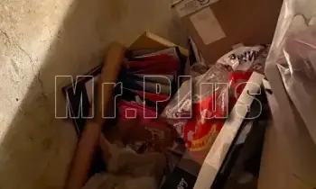 Почистване на складове и халета в Кърджали