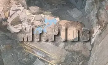 Почистване на мазета и тавани от боклук в Разград