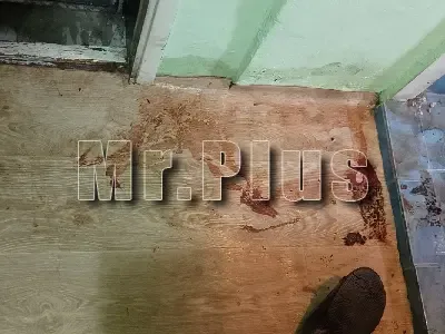 Почистване на кръв и биологични замърсявания във Варна