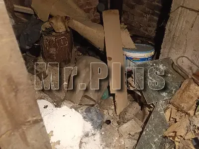 Почистване след плъхове и мишки в Казанлък
