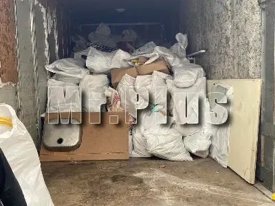 Почистване на дворове с извозване на клони в Казанлък