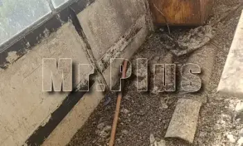 Почистване след гълъби и дезинфекция в Димитровград