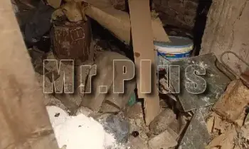Почистване след плъхове и мишки в Димитровград