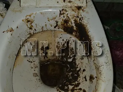 Mr.Plus – почистване в България