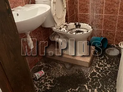 Mr.Plus – почистване в България