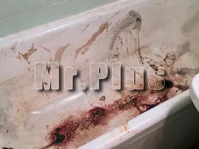 Mr.Plus – почистване в България